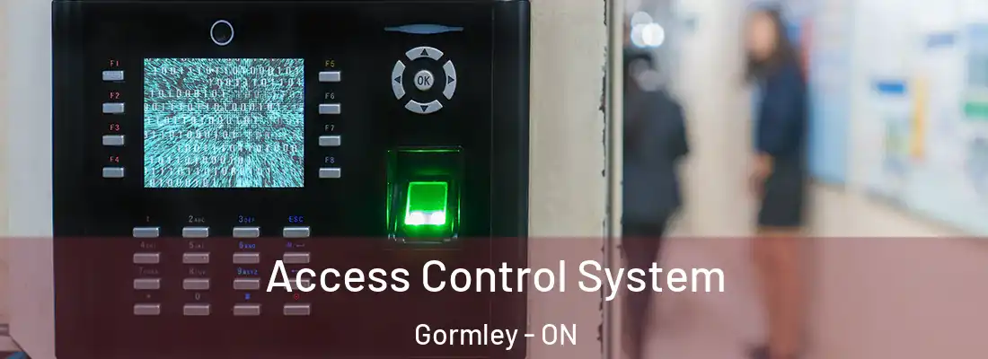 Access Control System Gormley - ON