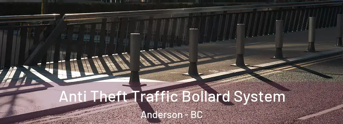  Anti Theft Traffic Bollard System Anderson - BC