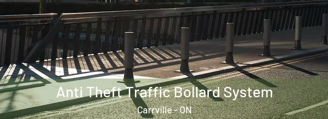  Anti Theft Traffic Bollard System Carrville - ON