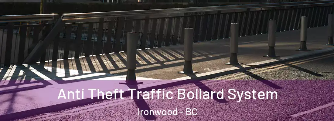  Anti Theft Traffic Bollard System Ironwood - BC