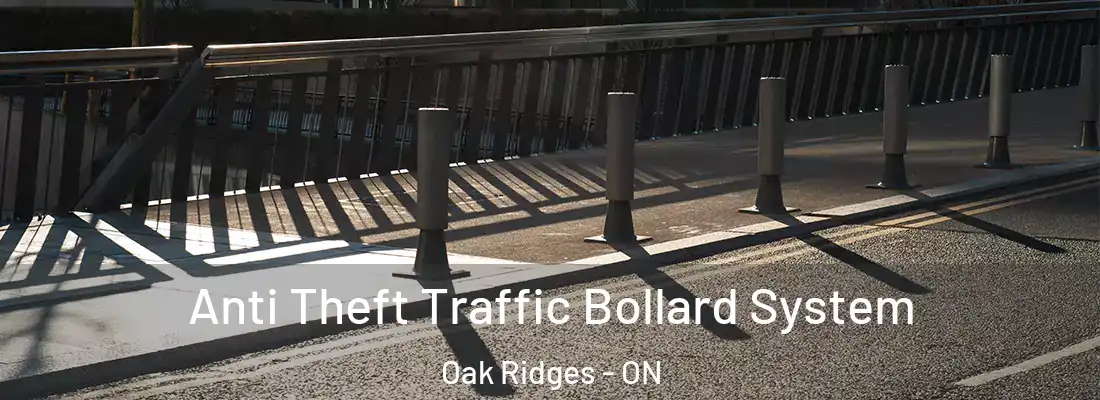  Anti Theft Traffic Bollard System Oak Ridges - ON