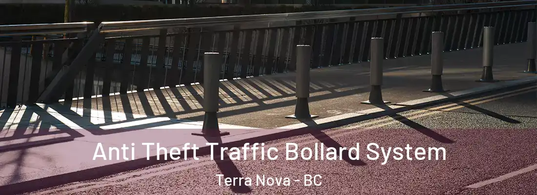  Anti Theft Traffic Bollard System Terra Nova - BC