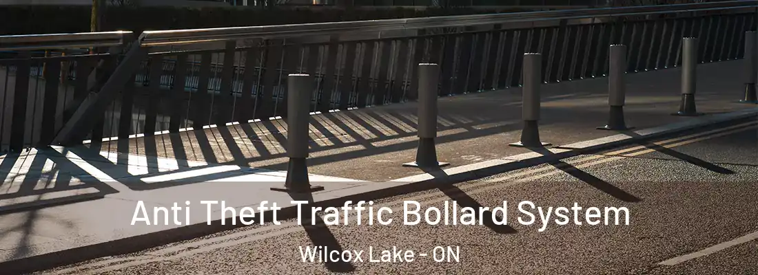  Anti Theft Traffic Bollard System Wilcox Lake - ON