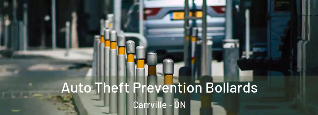 Auto Theft Prevention Bollards Carrville - ON