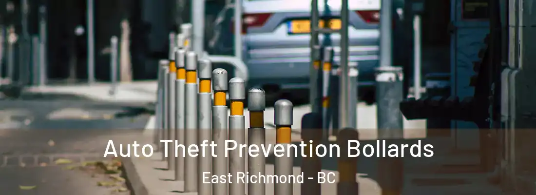  Auto Theft Prevention Bollards East Richmond - BC