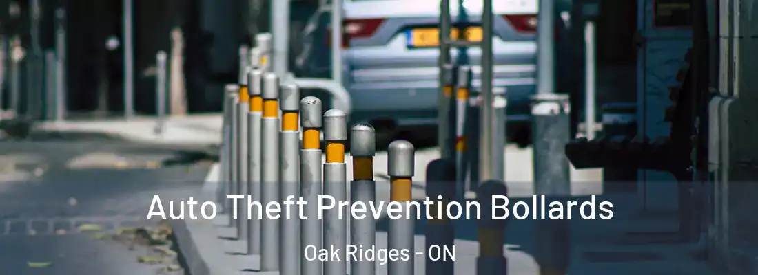  Auto Theft Prevention Bollards Oak Ridges - ON