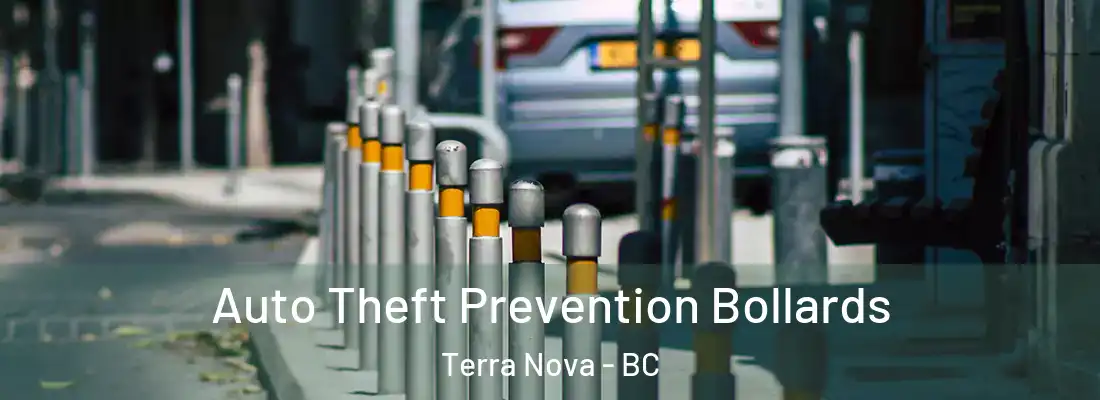  Auto Theft Prevention Bollards Terra Nova - BC