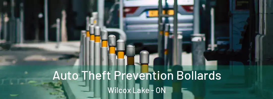  Auto Theft Prevention Bollards Wilcox Lake - ON