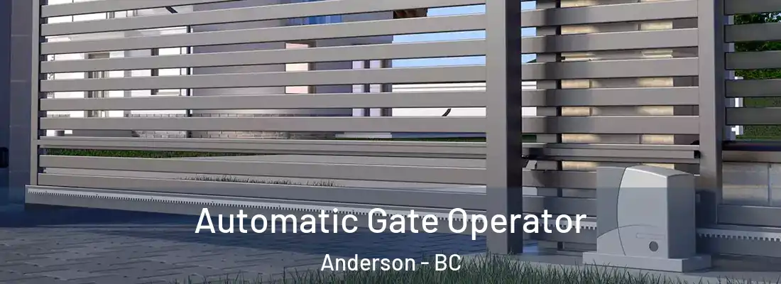  Automatic Gate Operator Anderson - BC