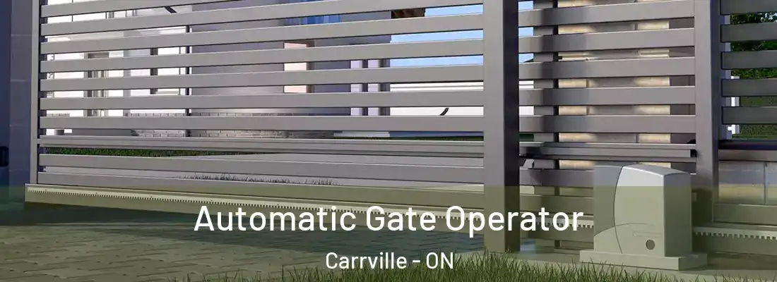  Automatic Gate Operator Carrville - ON