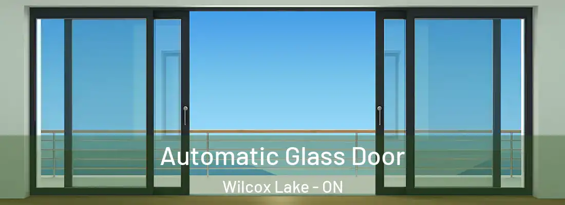  Automatic Glass Door Wilcox Lake - ON