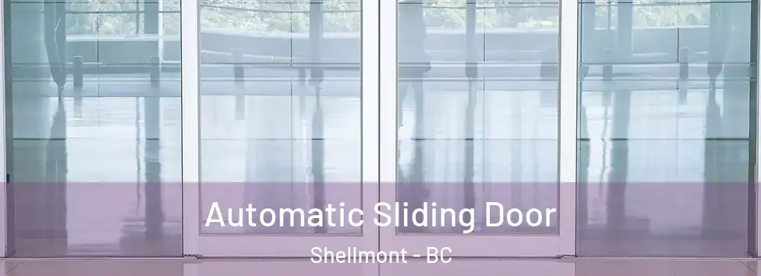  Automatic Sliding Door Shellmont - BC