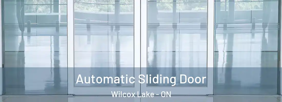  Automatic Sliding Door Wilcox Lake - ON