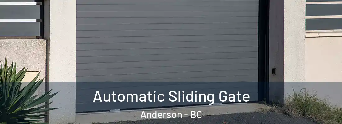  Automatic Sliding Gate Anderson - BC