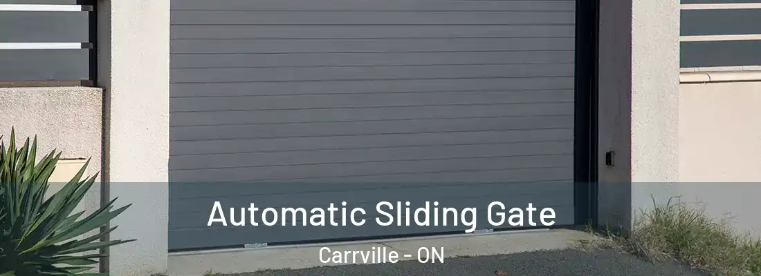  Automatic Sliding Gate Carrville - ON
