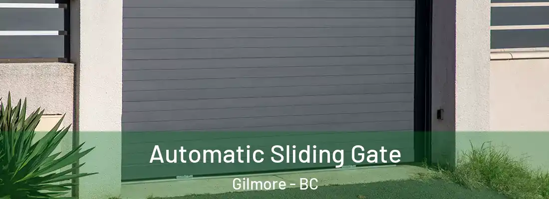  Automatic Sliding Gate Gilmore - BC