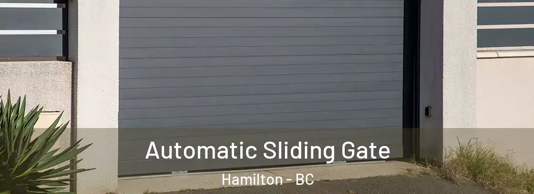  Automatic Sliding Gate Hamilton - BC