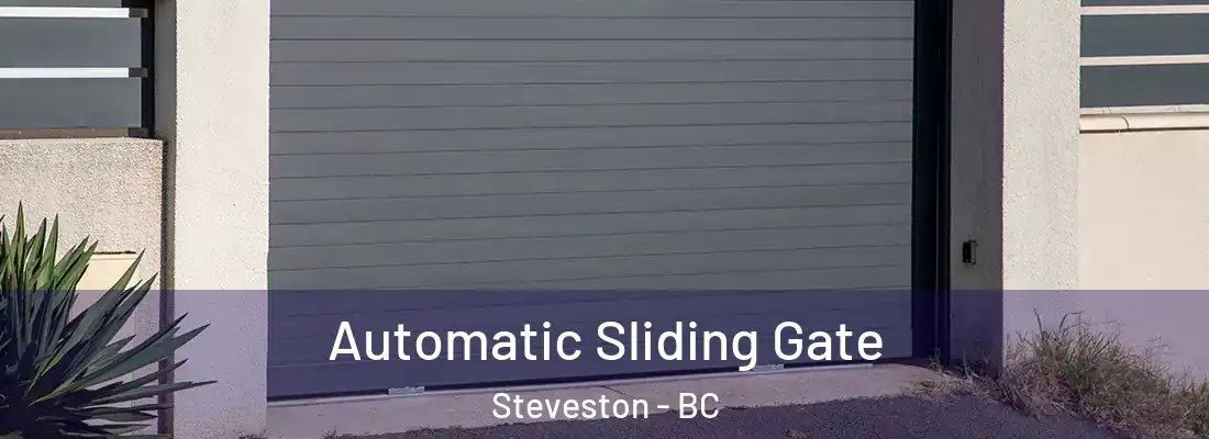  Automatic Sliding Gate Steveston - BC