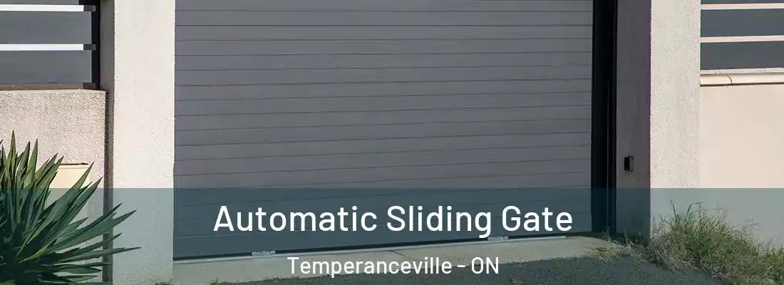  Automatic Sliding Gate Temperanceville - ON