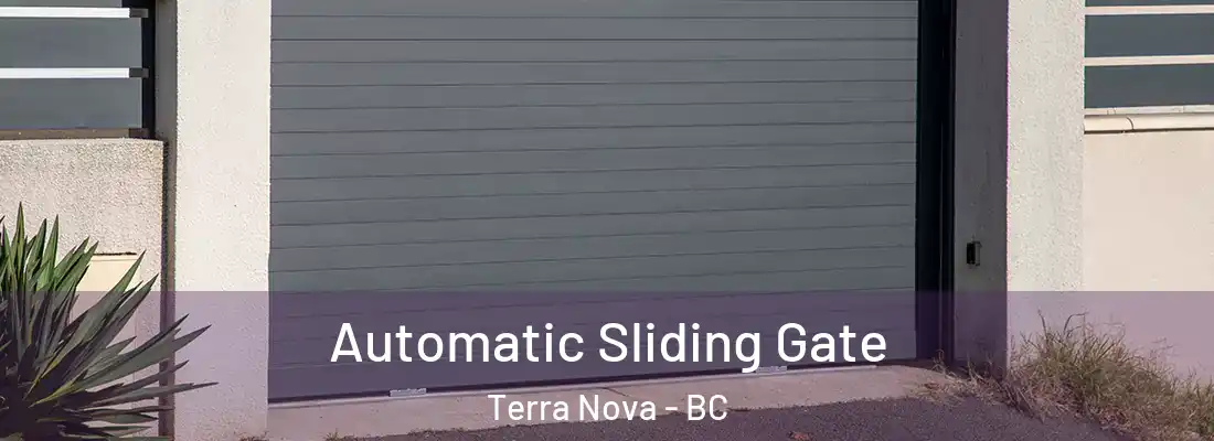  Automatic Sliding Gate Terra Nova - BC