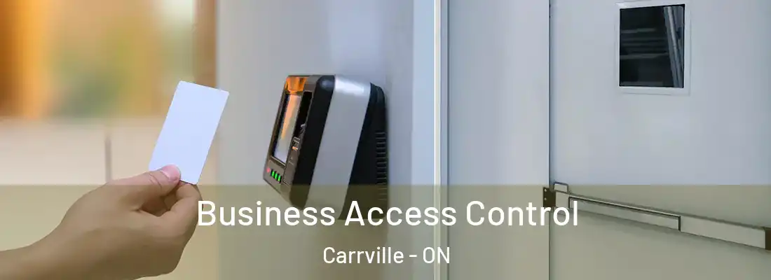  Business Access Control Carrville - ON