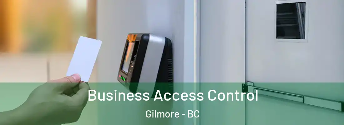  Business Access Control Gilmore - BC