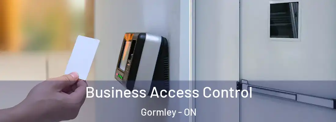  Business Access Control Gormley - ON