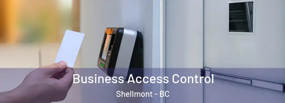  Business Access Control Shellmont - BC