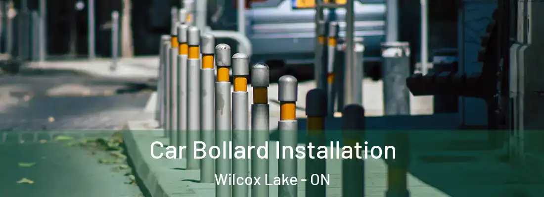  Car Bollard Installation Wilcox Lake - ON