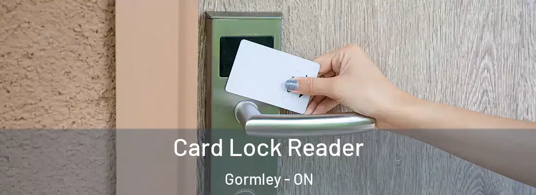  Card Lock Reader Gormley - ON