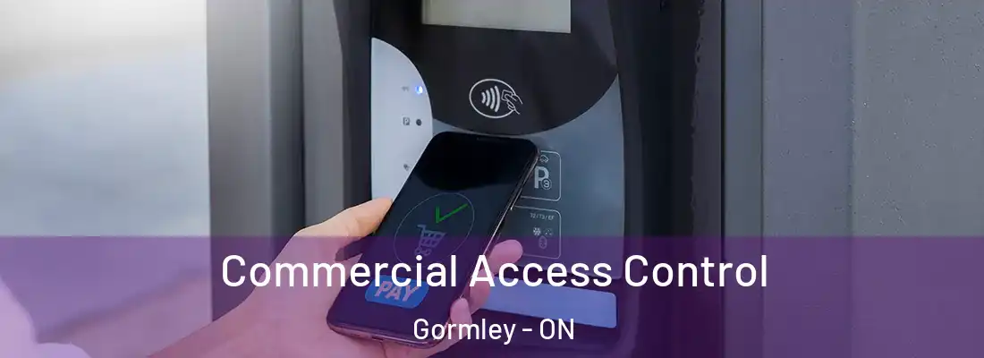  Commercial Access Control Gormley - ON