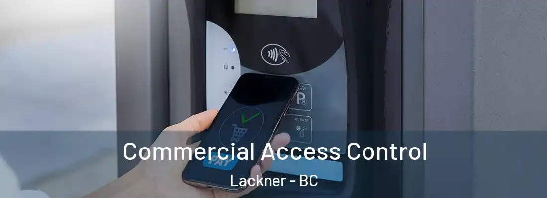  Commercial Access Control Lackner - BC