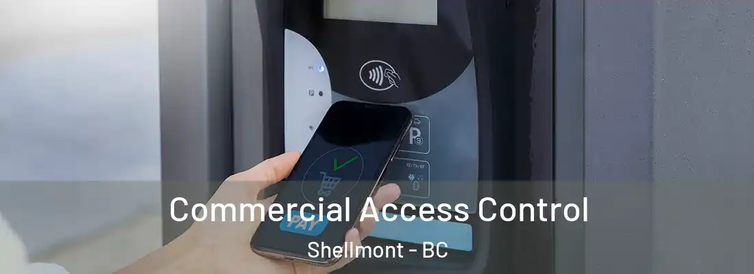  Commercial Access Control Shellmont - BC