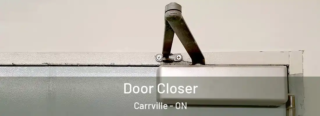  Door Closer Carrville - ON
