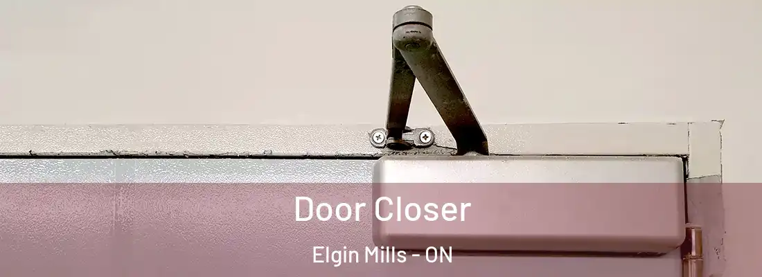  Door Closer Elgin Mills - ON