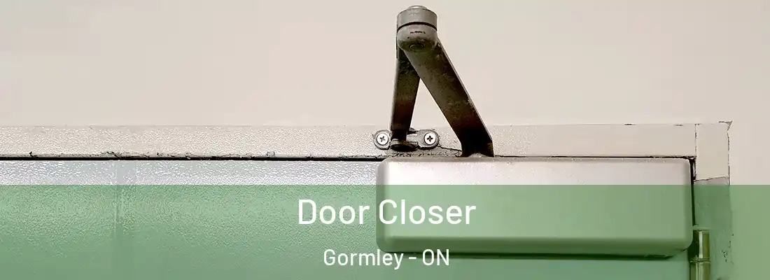  Door Closer Gormley - ON