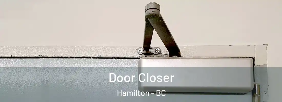  Door Closer Hamilton - BC