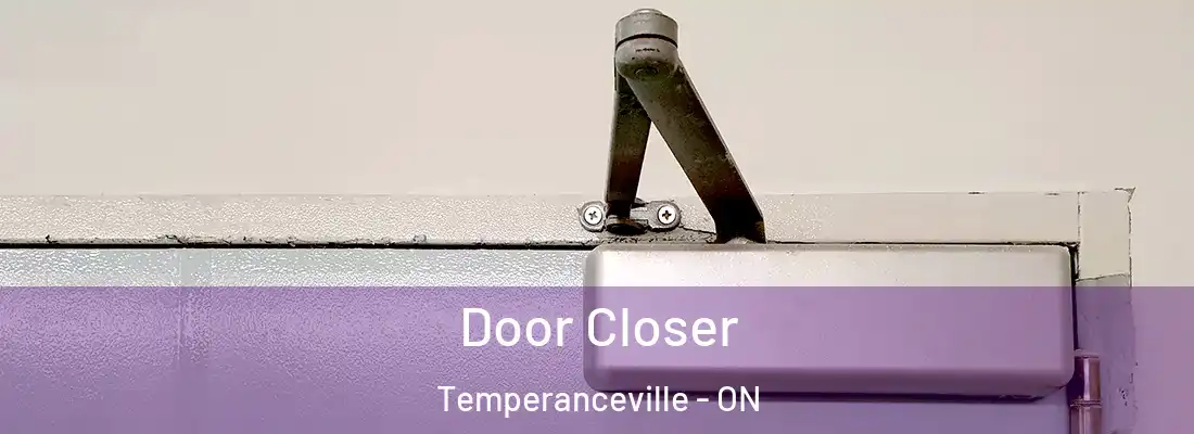  Door Closer Temperanceville - ON