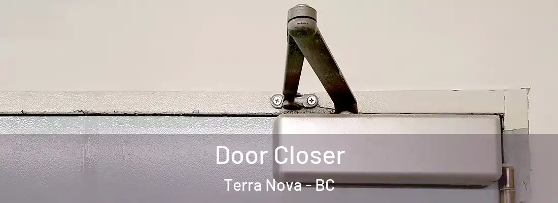  Door Closer Terra Nova - BC