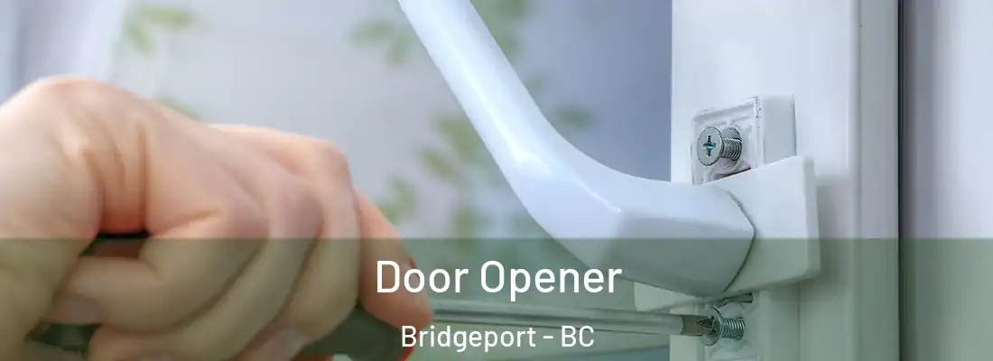  Door Opener Bridgeport - BC