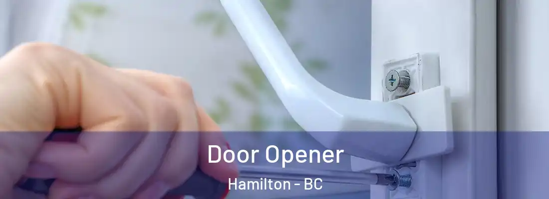  Door Opener Hamilton - BC
