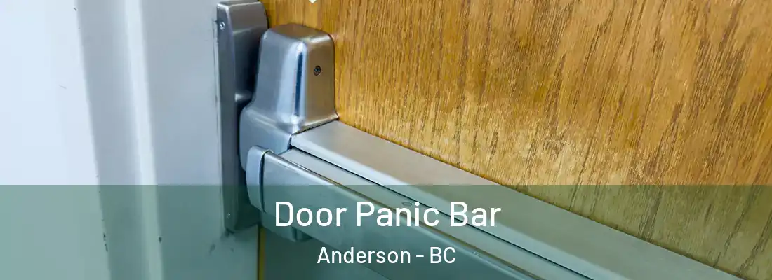  Door Panic Bar Anderson - BC