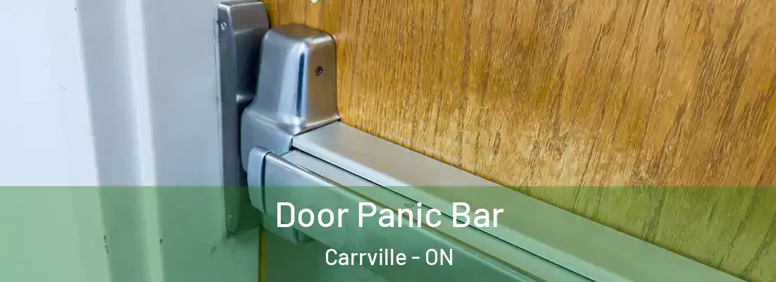  Door Panic Bar Carrville - ON