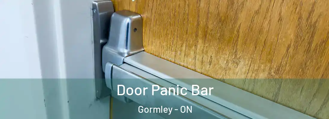  Door Panic Bar Gormley - ON