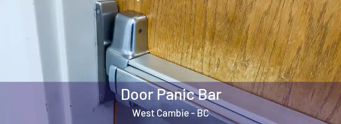  Door Panic Bar West Cambie - BC