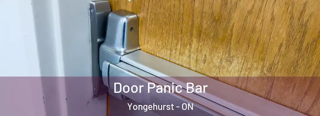  Door Panic Bar Yongehurst - ON