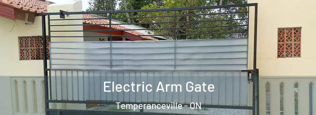  Electric Arm Gate Temperanceville - ON