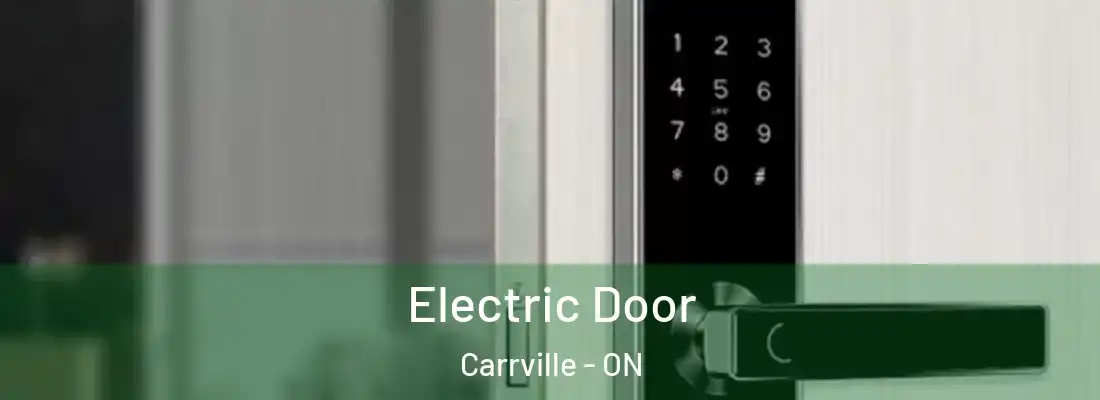  Electric Door Carrville - ON