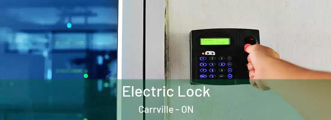  Electric Lock Carrville - ON