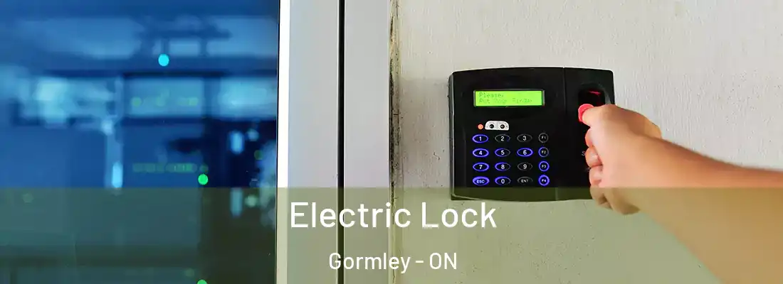  Electric Lock Gormley - ON
